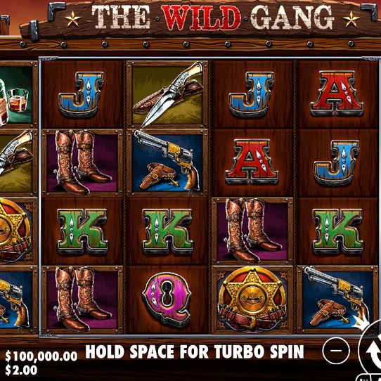 The Wild Gang